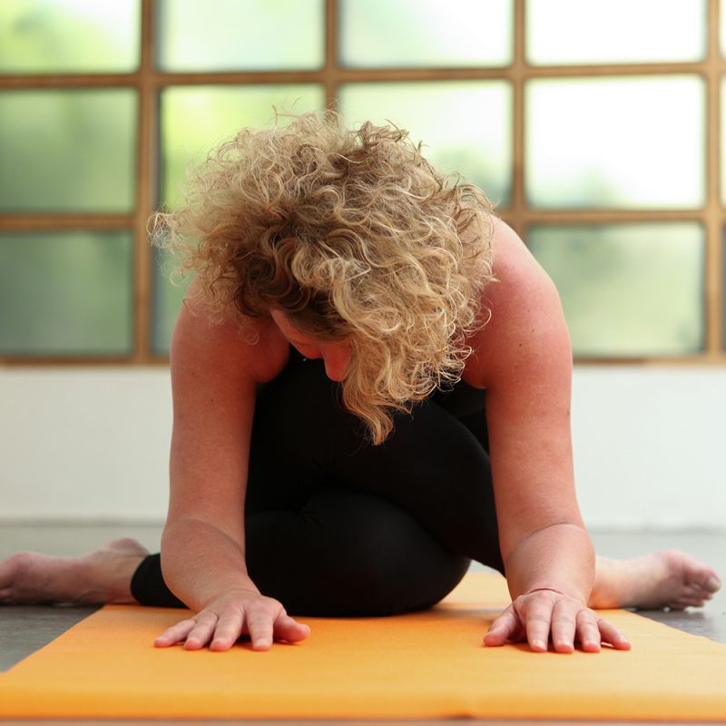 Rooster met yoga en pilates lessen bij Pristine Yoga en Pilates van lerares Nancy Adams in Waalwijk Tilburg Noord-Brabant